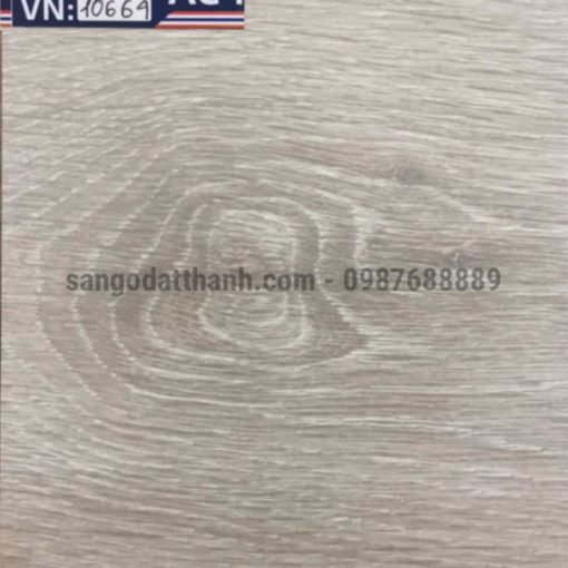 ThaiStar 10664 8mm